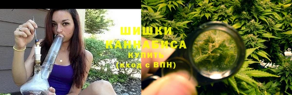 молекула духа Карпинск