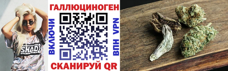 сколько стоит Петухово Псилоцибиновые грибы Cubensis