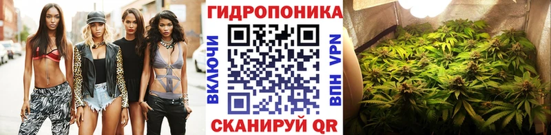 Канабис THC 21%  Петухово 